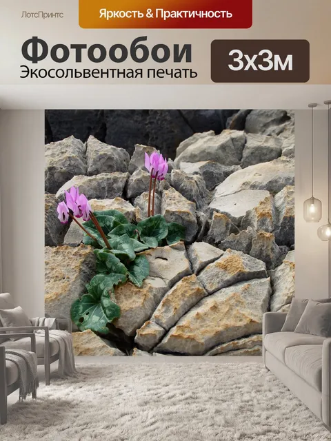 Фотообои Цикламен цветы на скалах