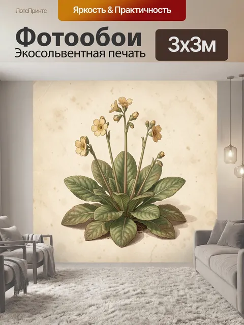 Фотообои Ботаническая иллюстрация желтых первоцветов