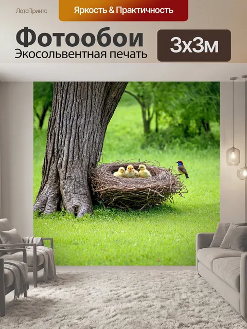 Фотообои с травой, растущей вокруг старого заброшенного дерева, на его ветвях гнездо, где птенцы ожидают свою еду, а