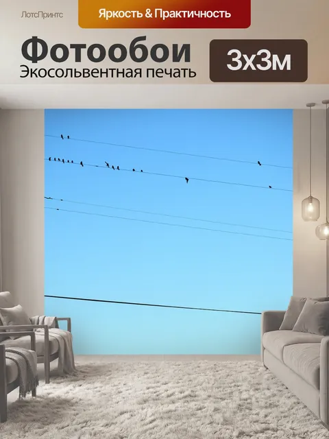 Фотообои Птицы