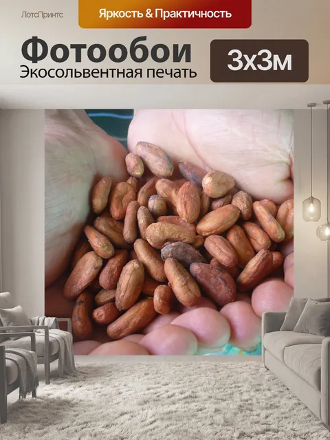Фотообои Какао-бобы