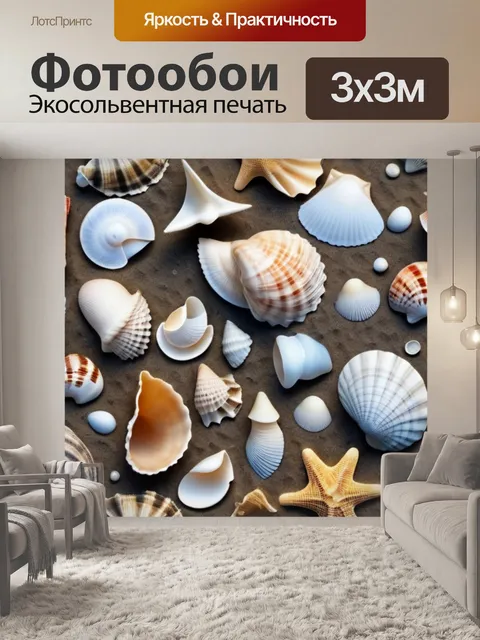 Фотообои разнообразие форм и текстур ракушек