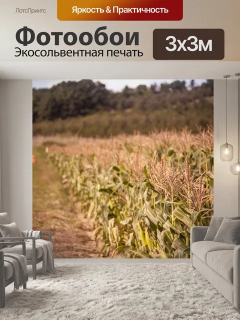 Фотообои Трава
