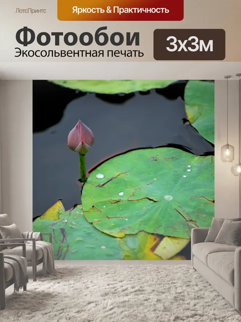 Фотообои Lily Pad