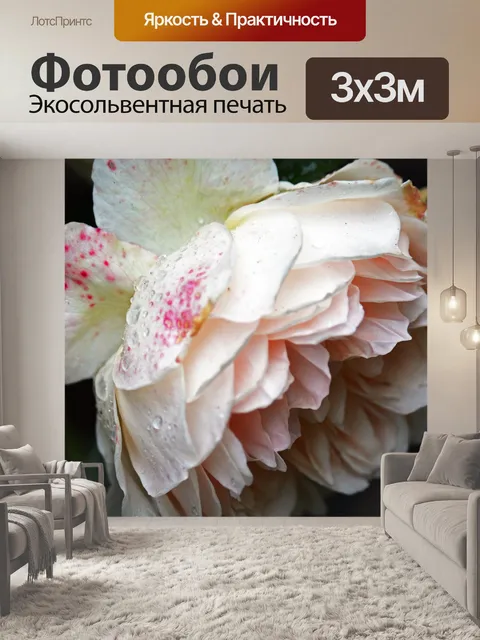 Фотообои Плетистая роза