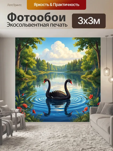 Фотообои Два черных лебедя на озере