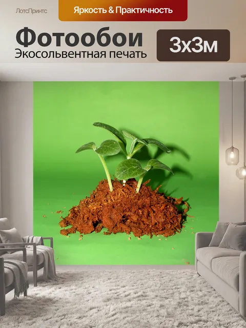 Фотообои Молодое дерево