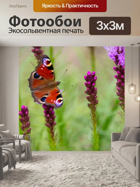 Фотообои Бабочка павлина