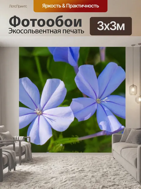 Фотообои Голубой цветок дэн
