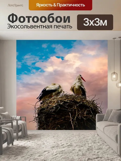 Фотообои Аист, гнездо аиста