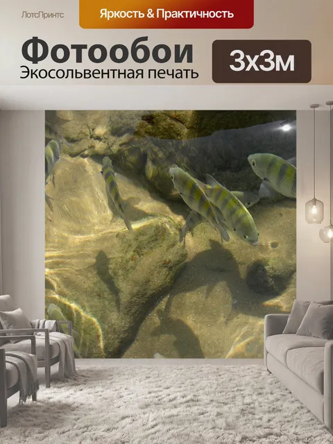 Фотообои Рыбы
