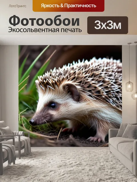 Фотообои с ежиком