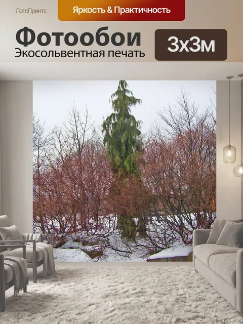 Фотообои Талль вечнозеленое дерево в снегу