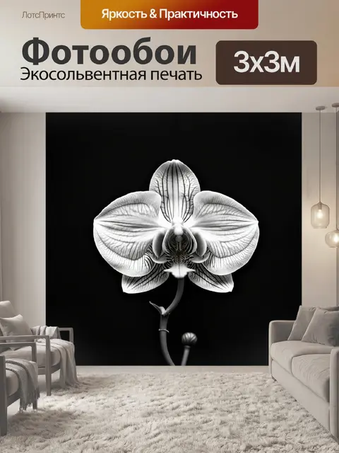Фотообои орхидея на фоне черно-белой фотографии, винтажный стиль