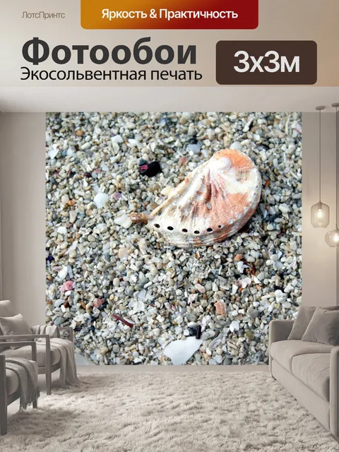 Фотообои Морская ракушка