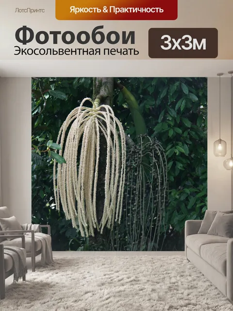 Фотообои Коста-Рика Дерево