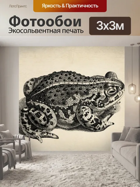 Фотообои Винтажная иллюстрация жаба-лягушка