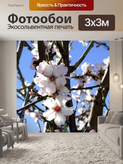 Фотообои Цветы миндаля