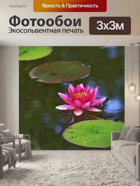 Фотообои Водяная лилия