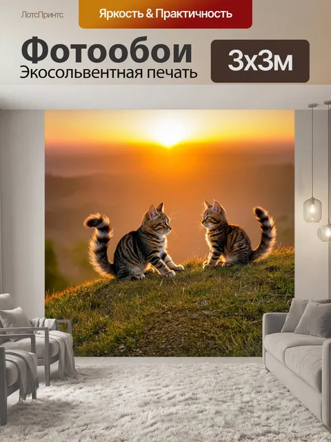 Фотообои коты, смотрящие на закат с горы