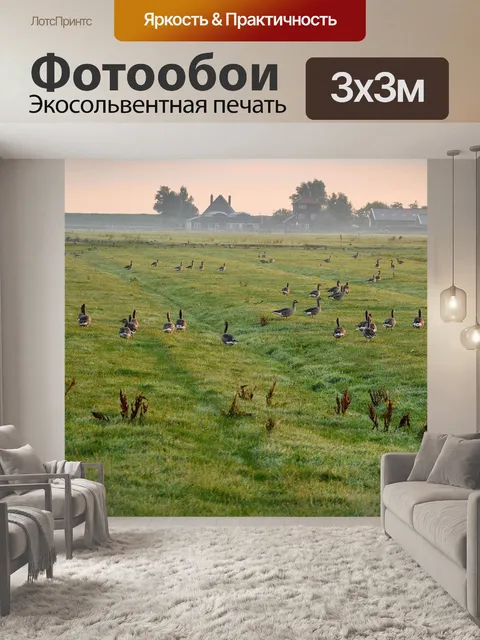 Фотообои Опорные