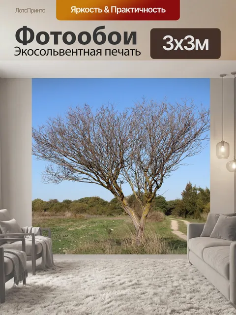 Фотообои Дерево
