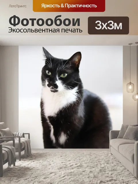 Фотообои Кошачьи глаза