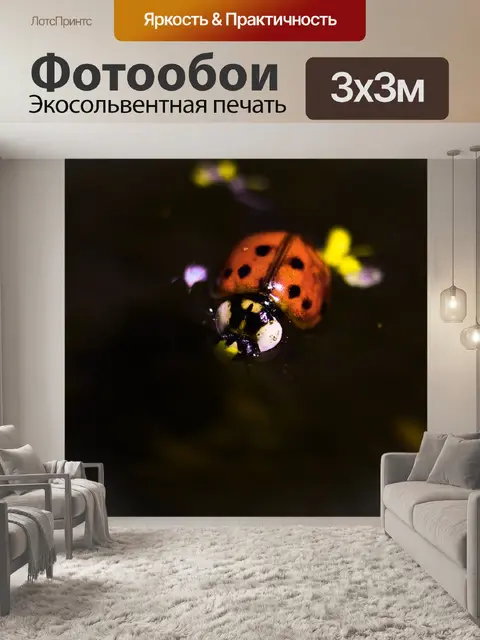 Фотообои Леди ошибка