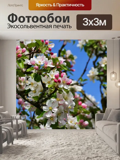 Фотообои Цветение яблони