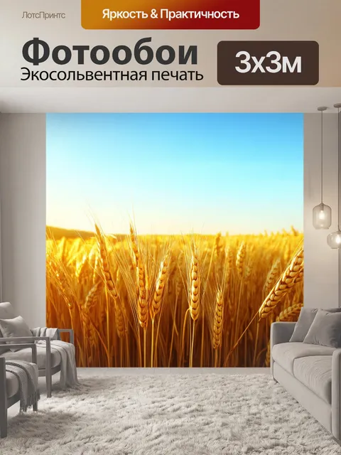 Фотообои утро: освещенные ранним солнцем поля с золотистыми пшеницами, которые колышутся на ветру
