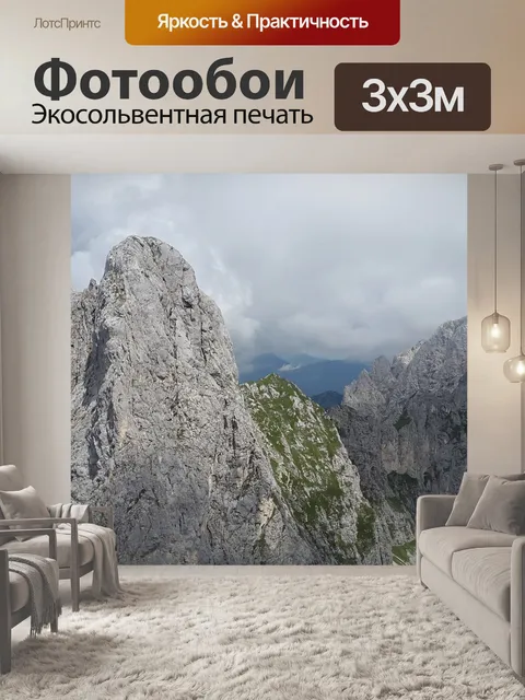 Фотообои Снегирь