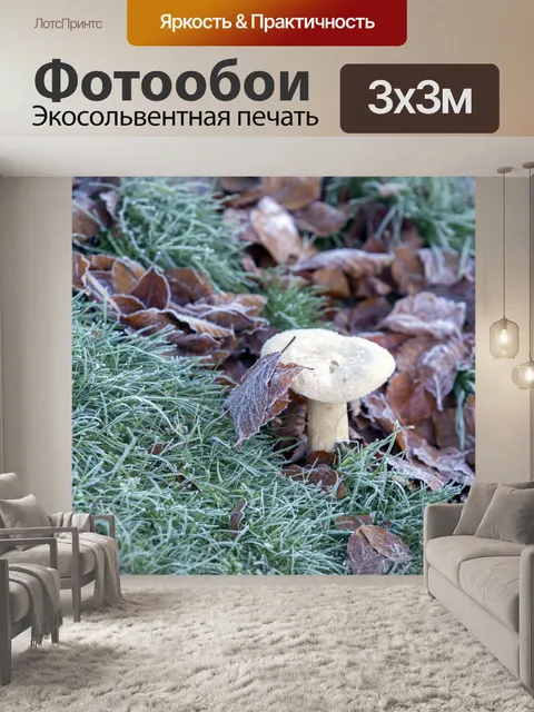 Фотообои грибы
