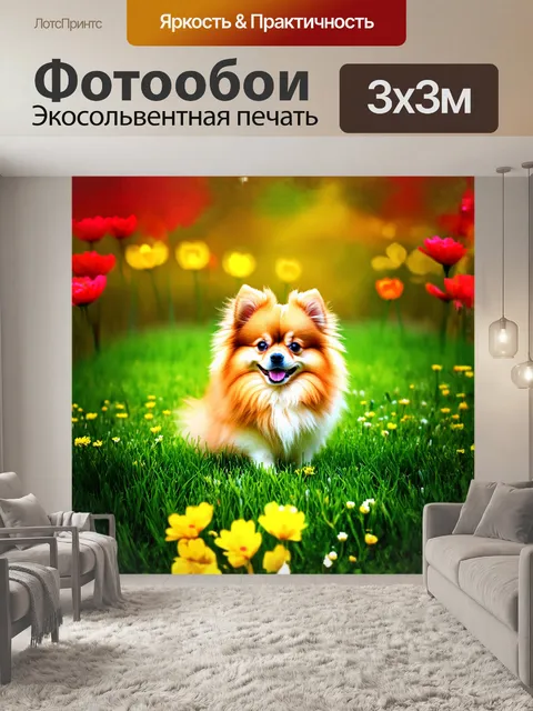 Фотообои померанский шпиц, с его пушистым и блестящим мехом, удобно устроился на ярко-зеленом травяном лугу…