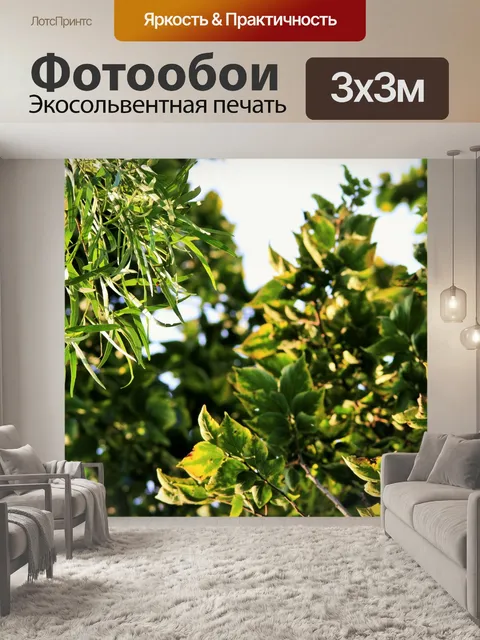 Фотообои Karee белый Stinkwood листва