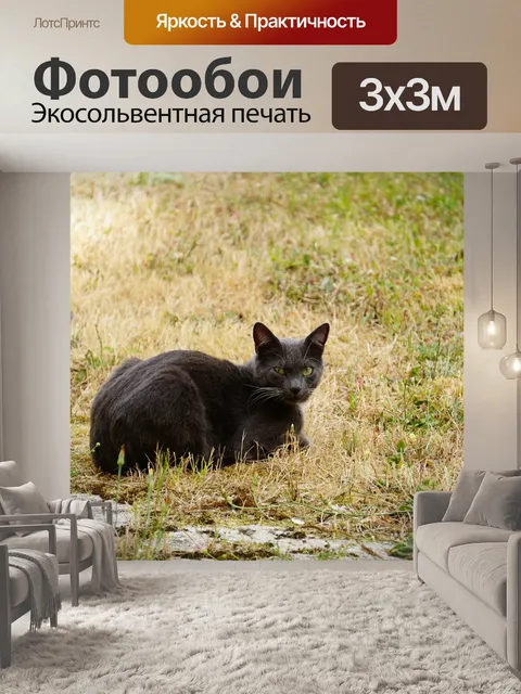Фотообои Серый кот лежит в траве