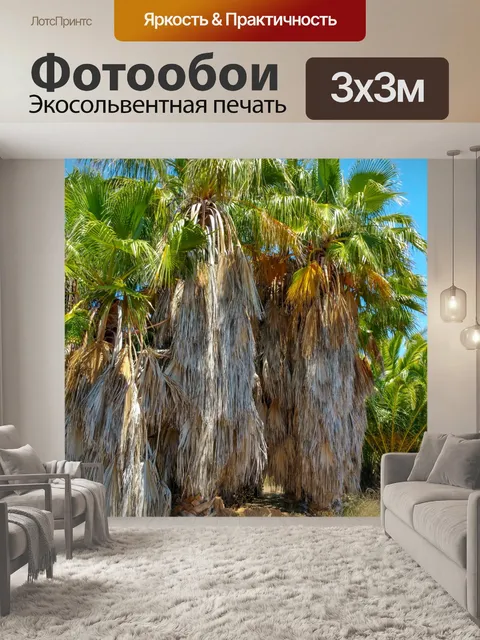 Фотообои Неоткрытые пальмы