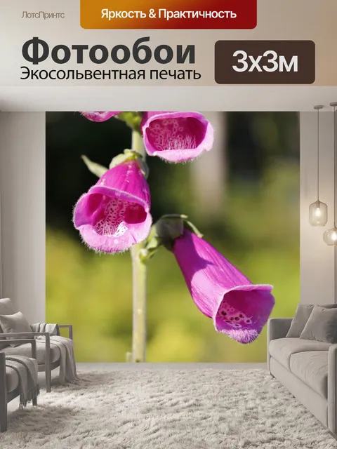 Фотообои Красавица