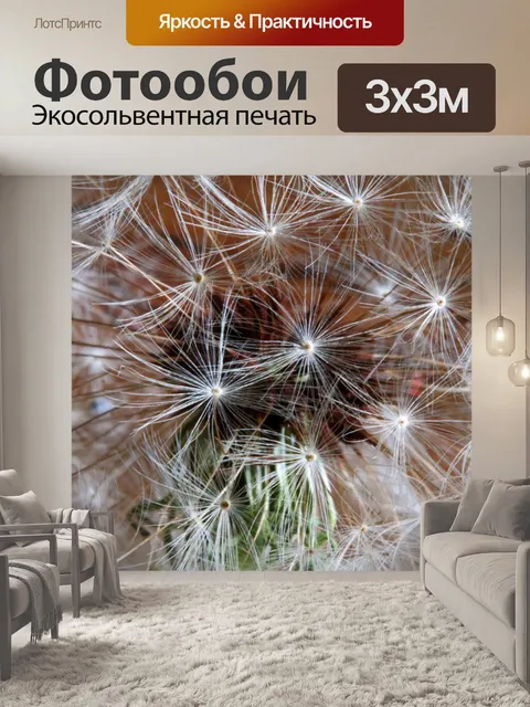 Фотообои нити на белом семени одуванчика