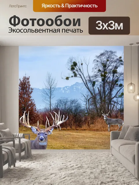 Фотообои Горы