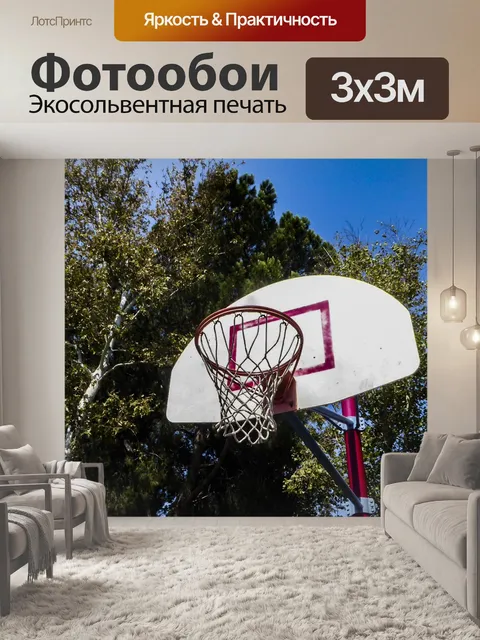 Фотообои Баскетбольный обруч и деревья
