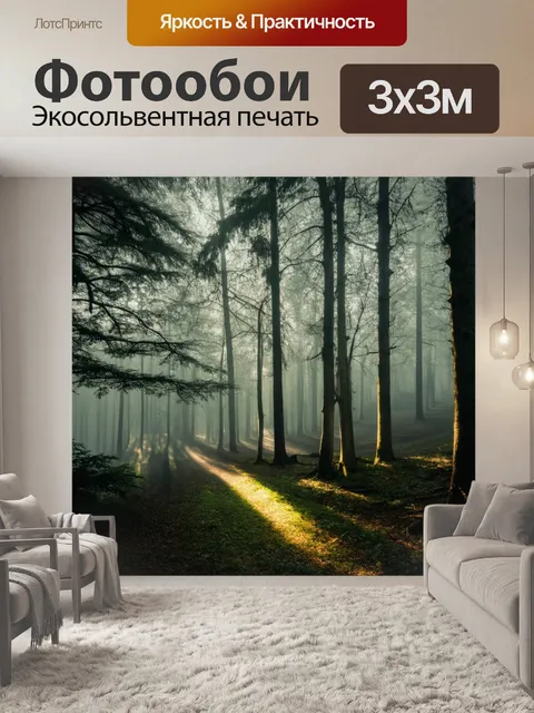 Фотообои лес с укутанными туманом деревьями и таинственными тенью