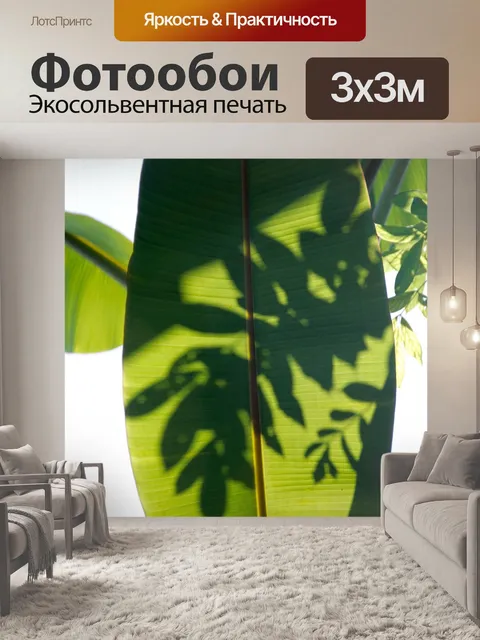 Фотообои Пальма