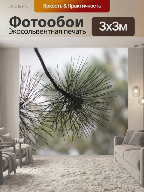 Фотообои Ветка