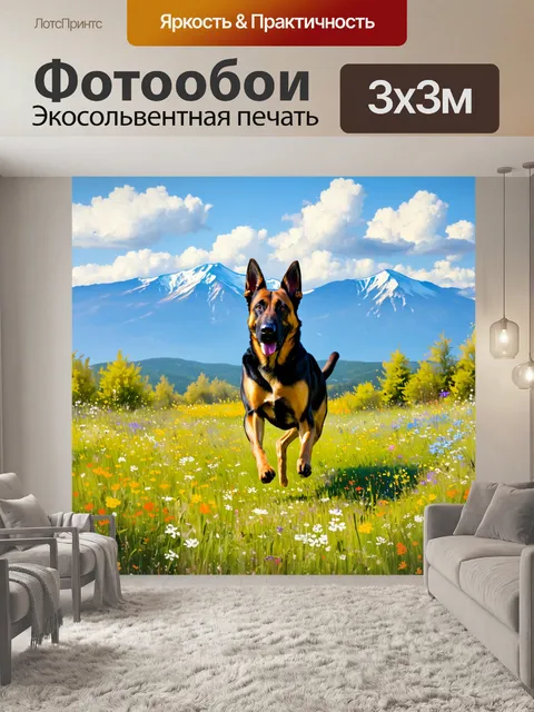 Фотообои бельгийская овчарка малинуа, резво скачущая по лугу, украшенному летними цветами