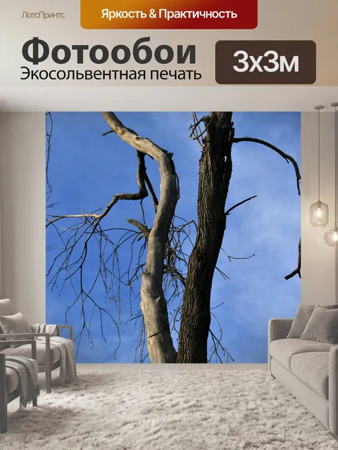 Фотообои высокий мертвое дерево