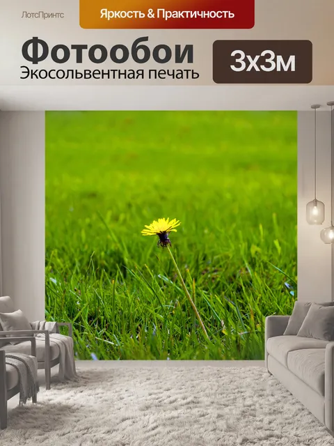 Фотообои Одуванчик на траве