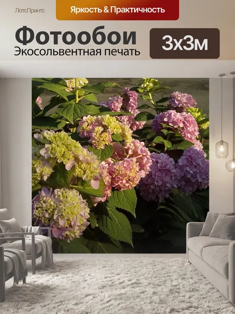 Фотообои Гортензия
