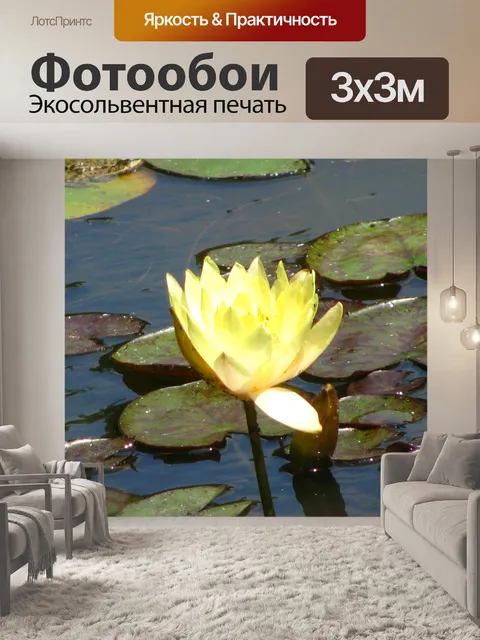Фотообои Водяная лилия