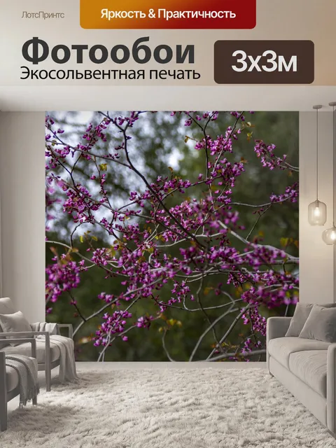 Фотообои Розовые полевые цветы