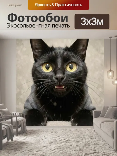 Фотообои Черный кот с удивленным взглядом